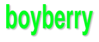 logo web stop sida boyberry gay